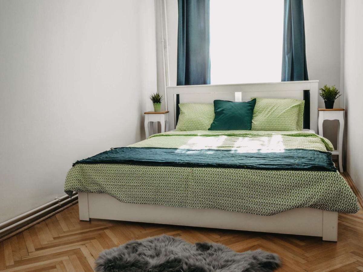 Business And Travel Central Apartment Timişoara Eksteriør billede