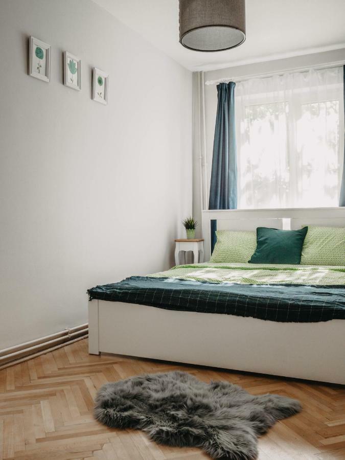 Business And Travel Central Apartment Timişoara Eksteriør billede